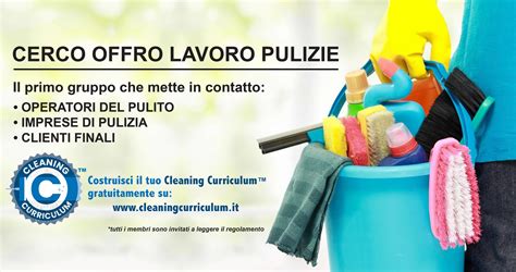 cerco lavoro carini pulizie|Cleaning job in Carini 